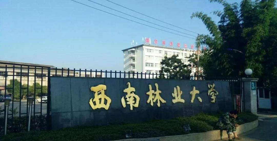 西南林业大学校园网